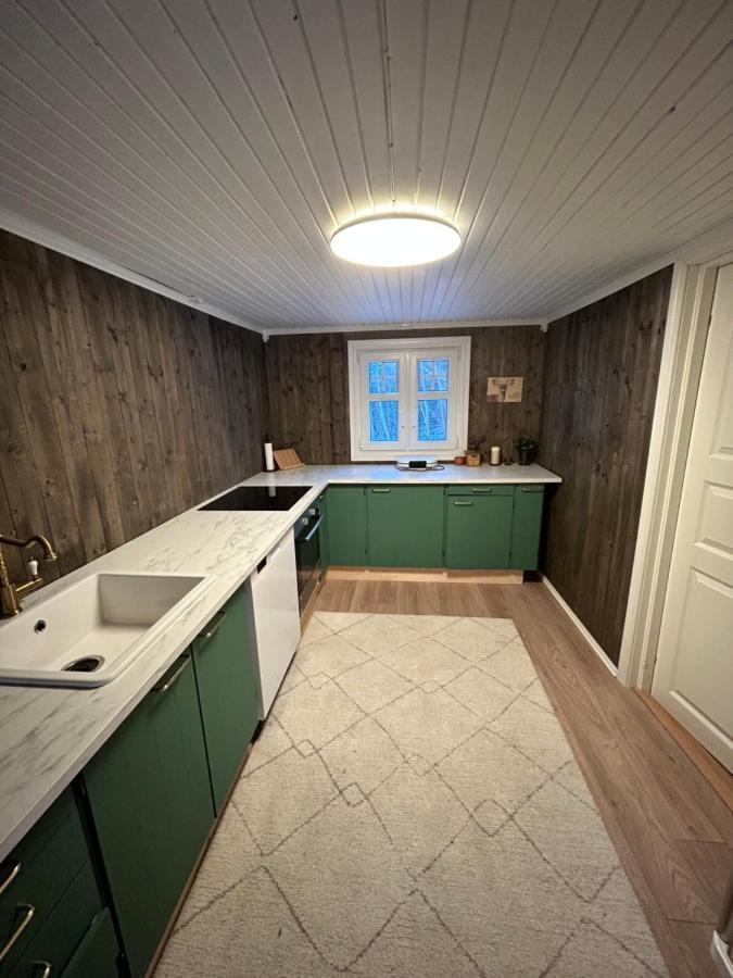 Beautiful Cabin By Mjosa. Villa Stange Exterior photo